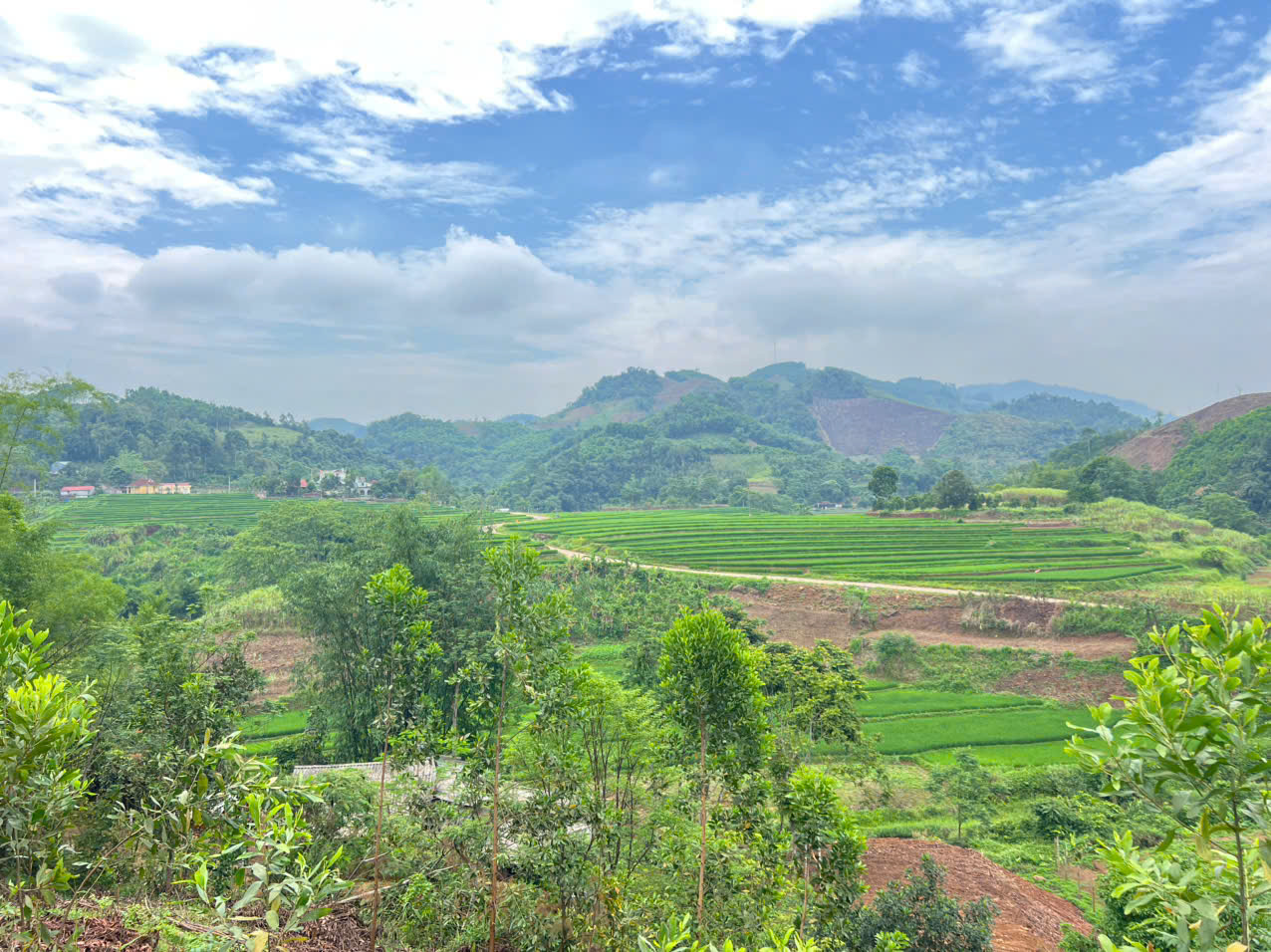 Bán 3330M_sẵn 400M thổ cư đất view thung lũng ruộng bậc thang siêu đẹp_Cao Phong Hoà Bình_1,x tỷ - Ảnh 5